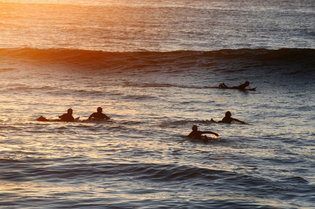 surfistas pegando onda ao entardecer