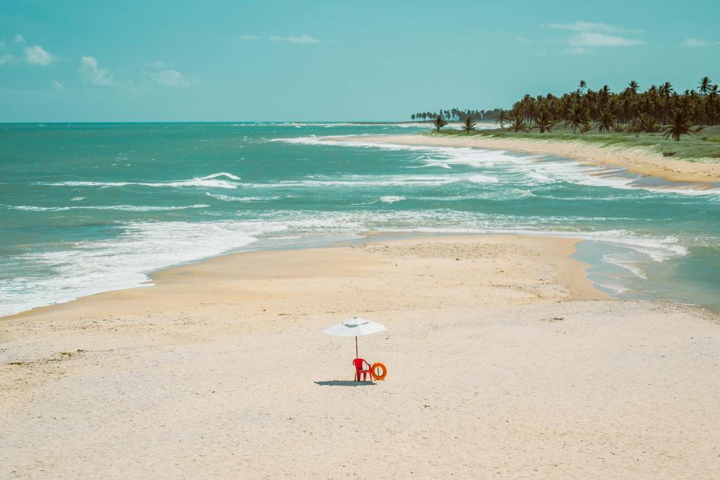 6 praias semi-desertas em Alagoas para você se desconectar e curtir a&nbsp;natureza!